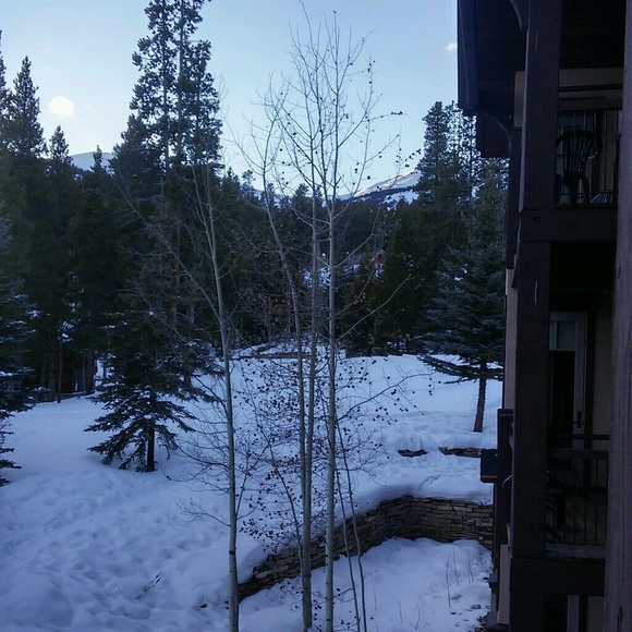 Meet your Posher, Shannon - Picture 1 of 1